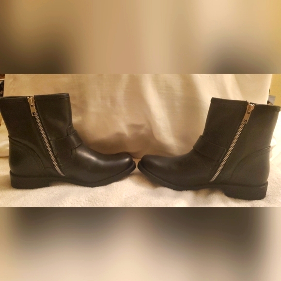SZ 6 STEVE MADDEN MOTO BIKER BUCKLE BOOTS - Picture 5 of 6